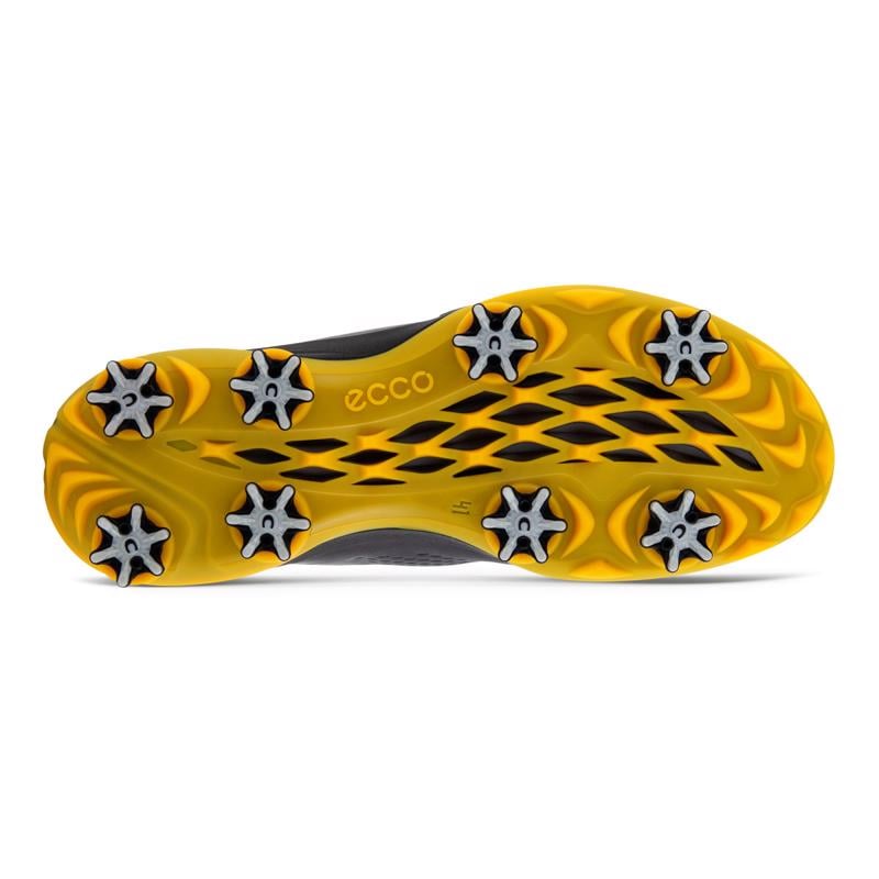 Gri ECCO M GOLF BIOM G 3 MAGNET | Ecco