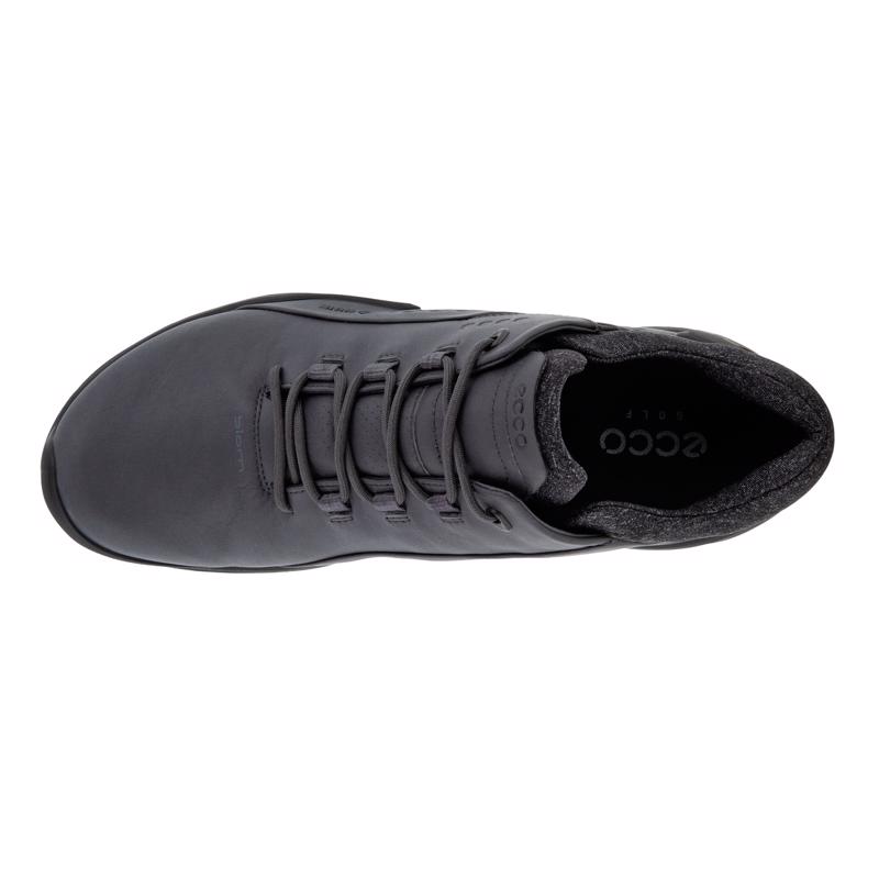 Gri ECCO M GOLF BIOM G 3 MAGNET | Ecco