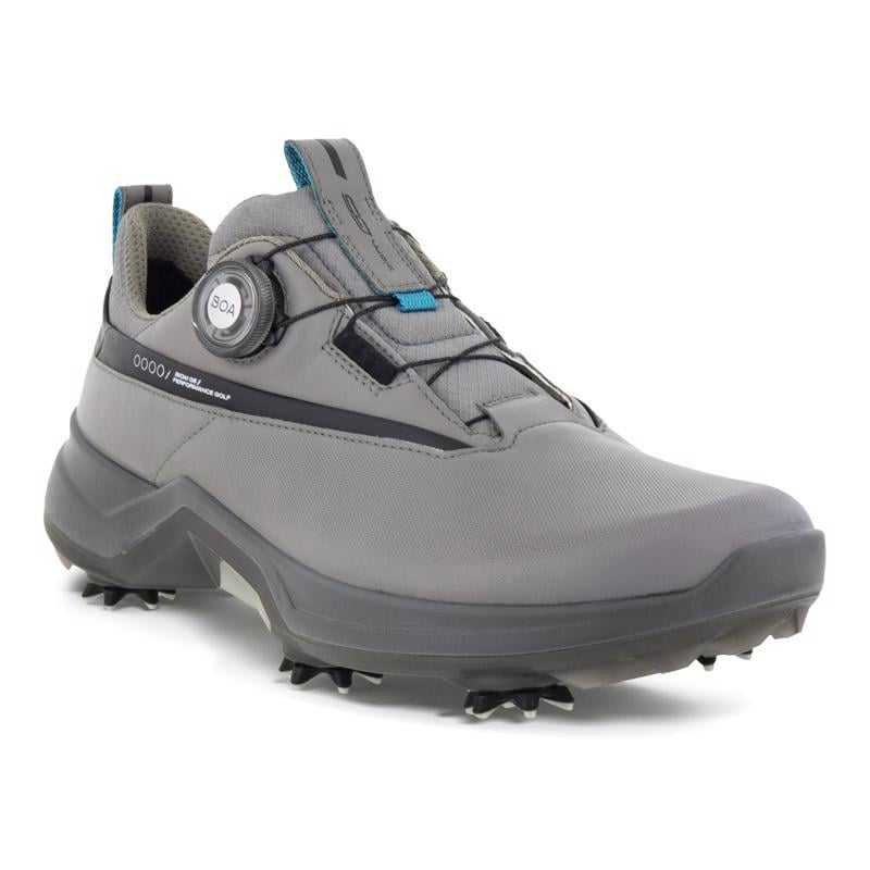 Gri ECCO M GOLF BIOM G5 Golf Shoe | Ecco
