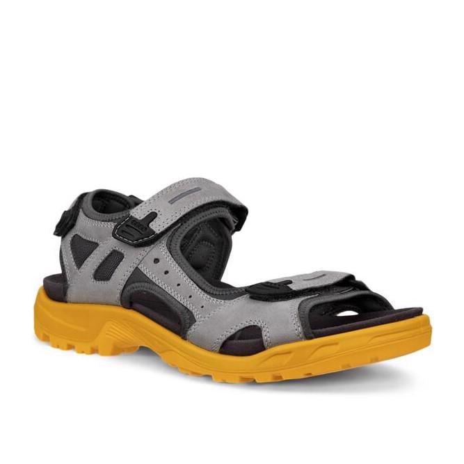 Grey Offroad Wild Dove Sunrise