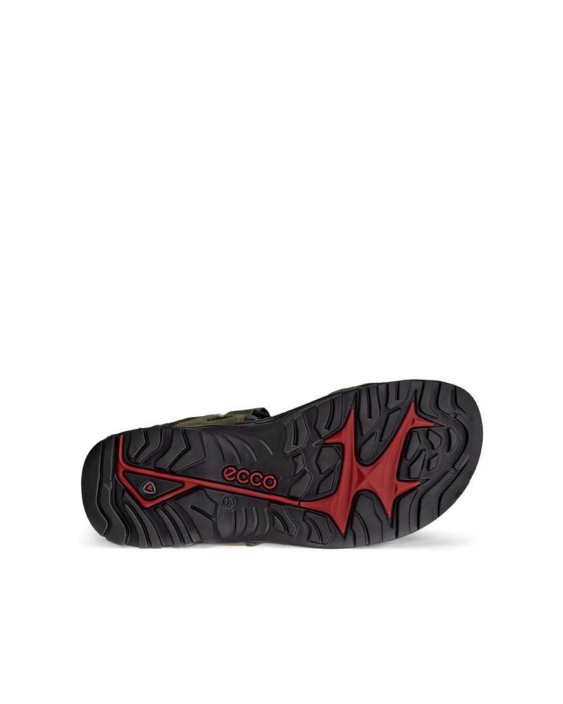 Yeşil ECCO Offroad