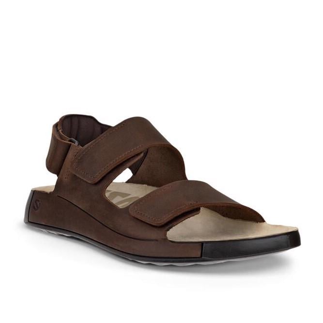 Kahverengi ECCO Cozmo M Potting Soil