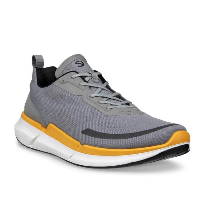 Grey ECCO Biom 2.2 M Wild Dove Sunrise