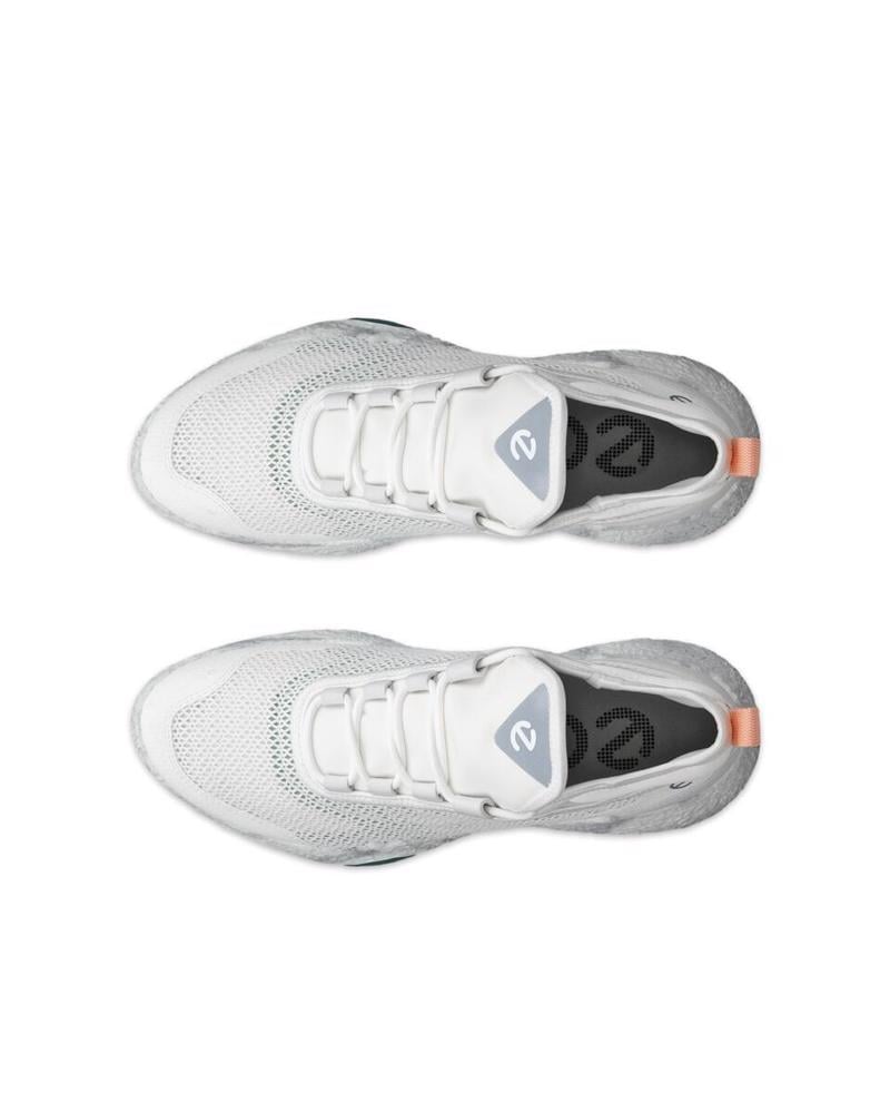 新品　ECCO BIOM GOLF SHOE 14 ホワイト 36 Beyaz ECCO Golf Biom H5 11502361202 | Ecco