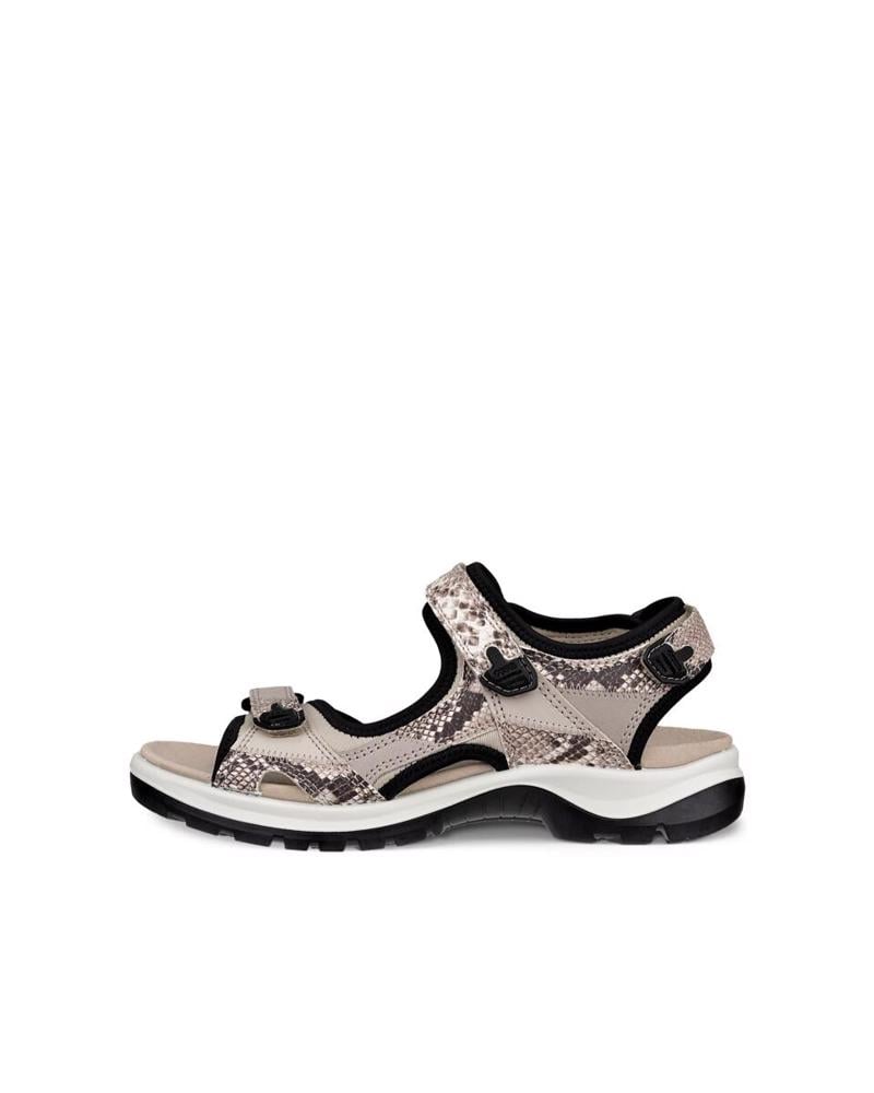 Gri ECCO Offroad 82221352188 | Ecco