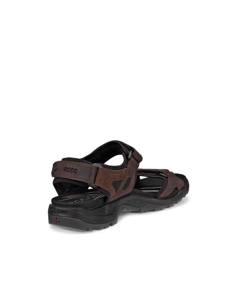 Kahverengi ECCO Offroad
