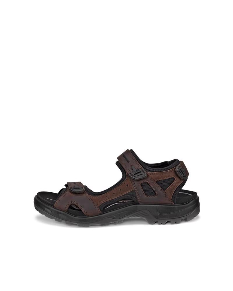Brown ECCO Offroad Mocha Mocha