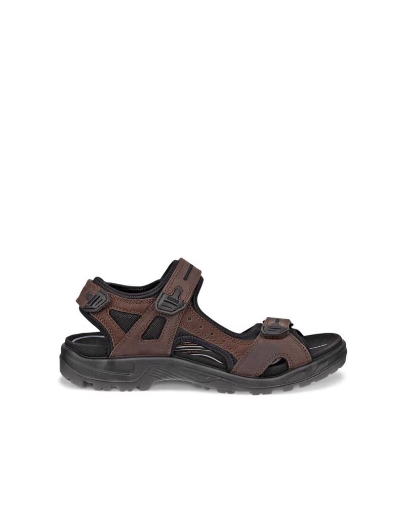 Kahverengi ECCO Offroad