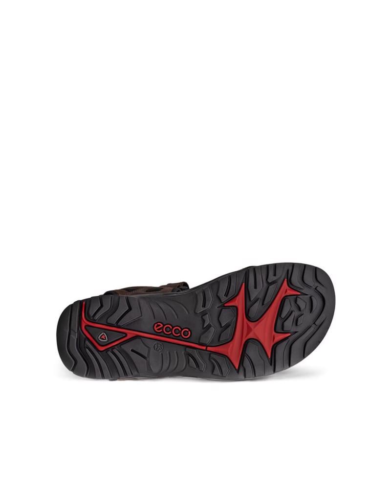 Kahverengi ECCO Offroad
