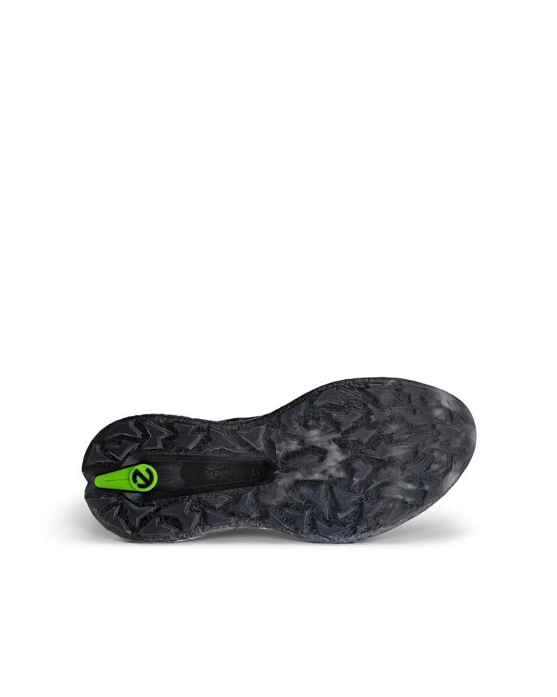 Black ECCO M Golf Biom H5 Black