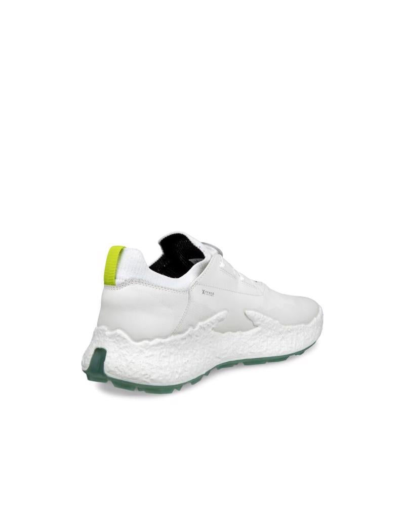 White ECCO M Golf Biom H5 White