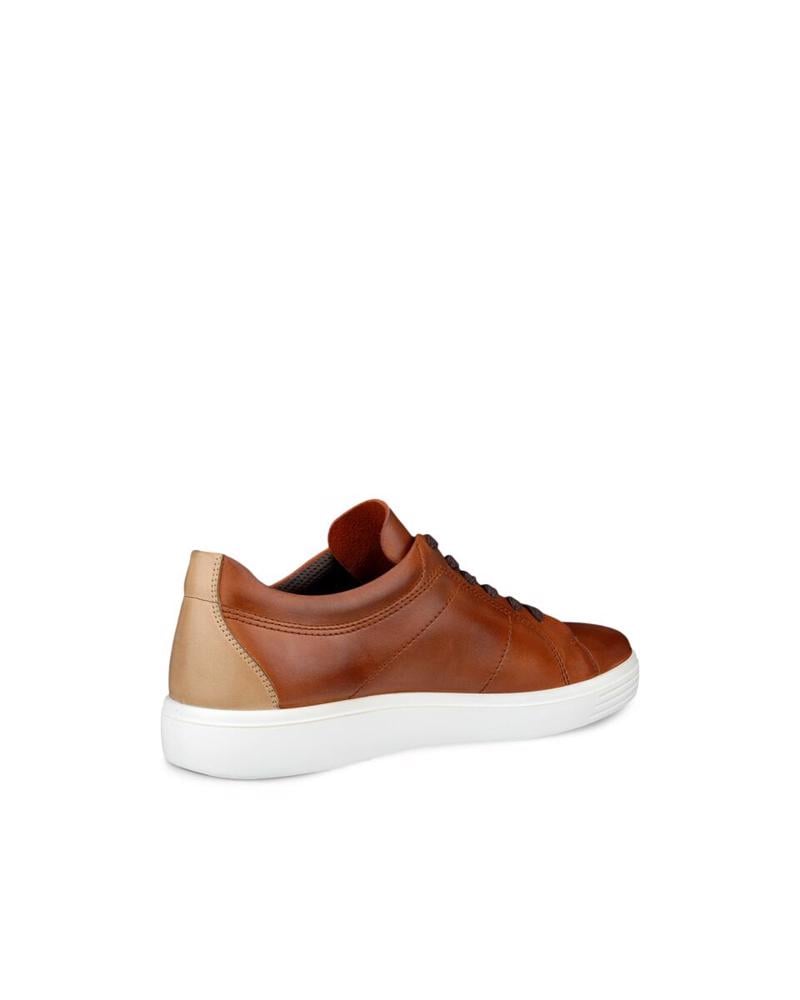Brown ECCO Classic Sneaker M Cognac
