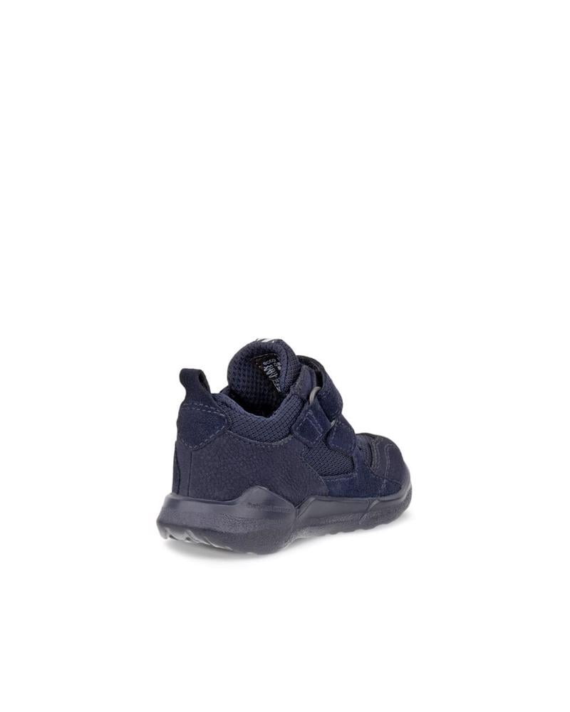 Lacivert ECCO Biom 2.2