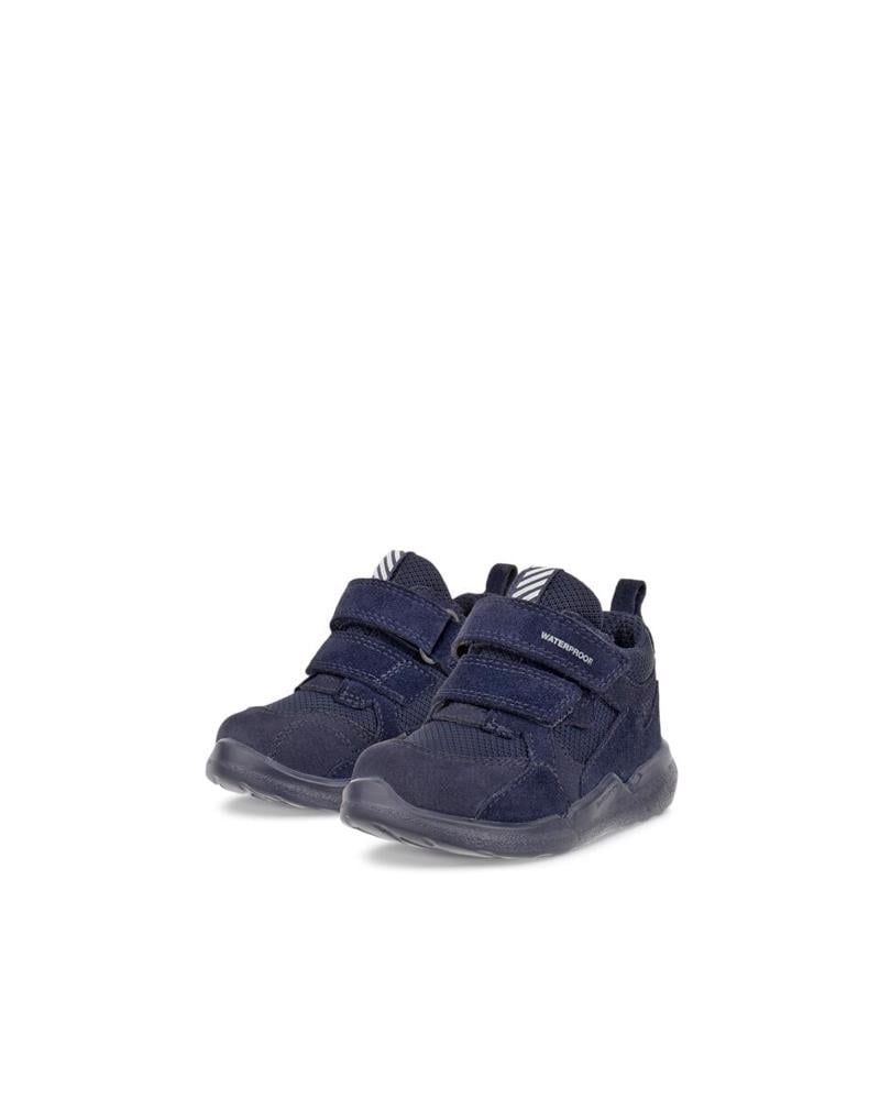 Lacivert ECCO Biom 2.2