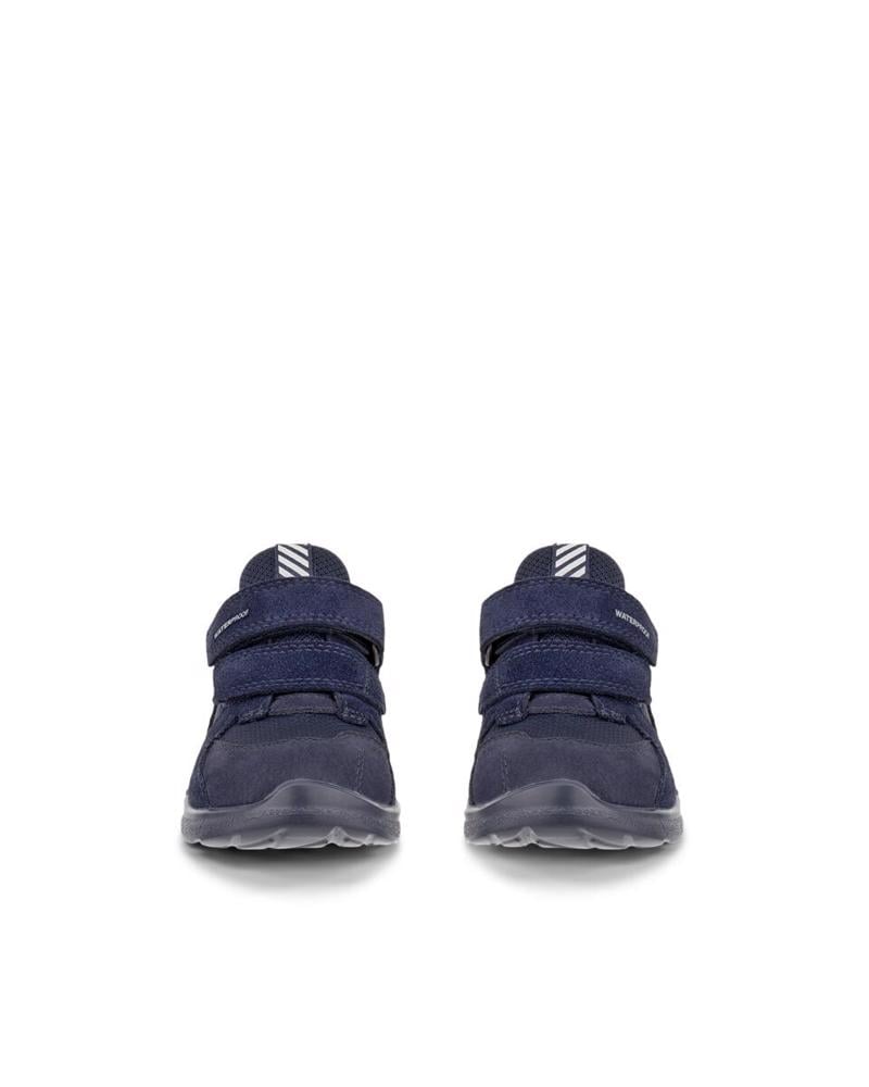 Lacivert ECCO Biom 2.2
