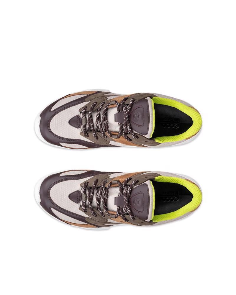 Multicolour ECCO Biom C-Trail W Gravel