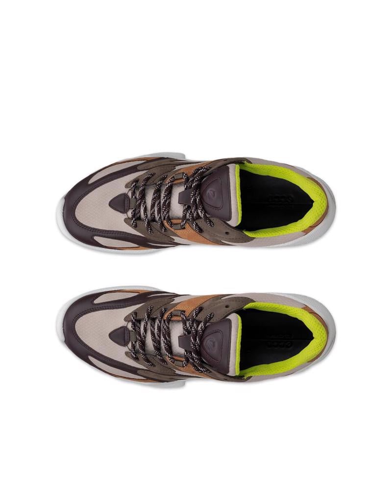 Multicolour ECCO Biom C-Trail M Gravel