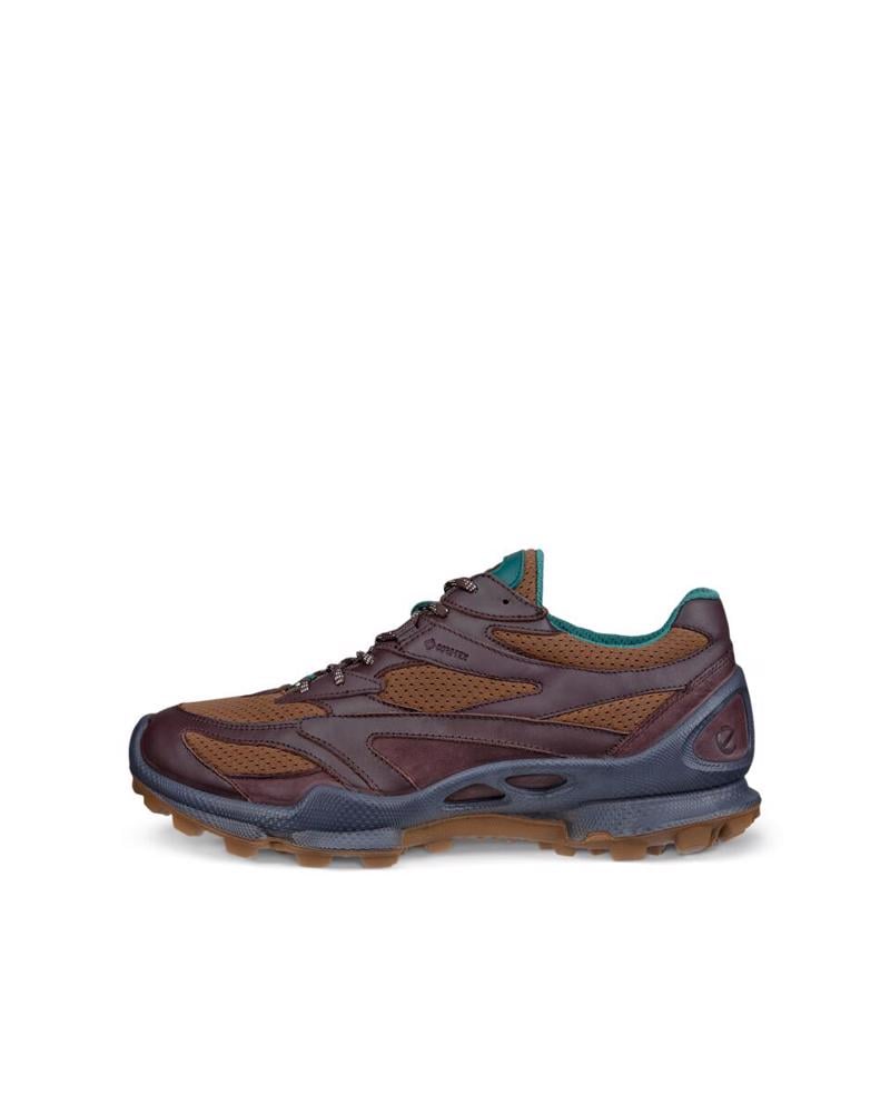 Brown ECCO Biom C-Trail M Garnet
