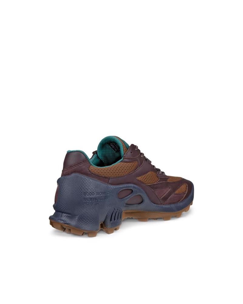 Brown ECCO Biom C-Trail M Garnet