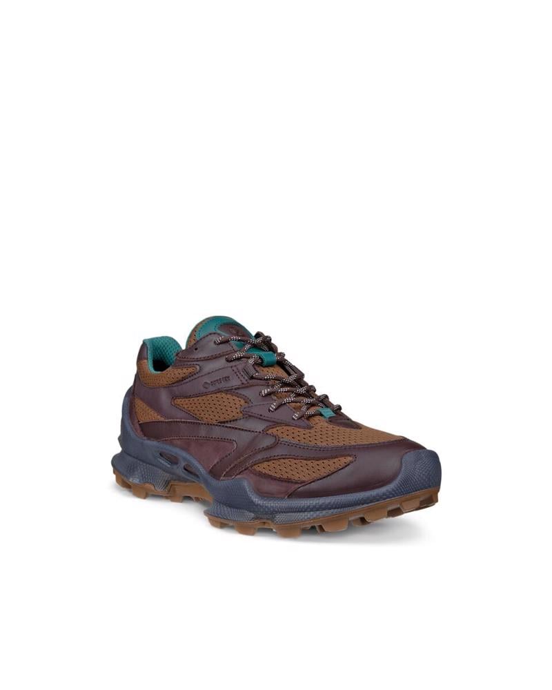 Brown ECCO Biom C-Trail M Garnet