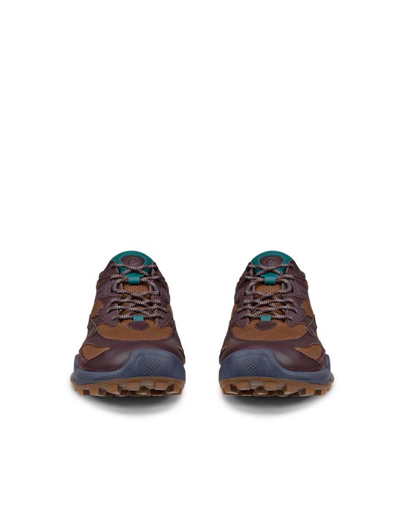 Brown ECCO Biom C-Trail M Garnet