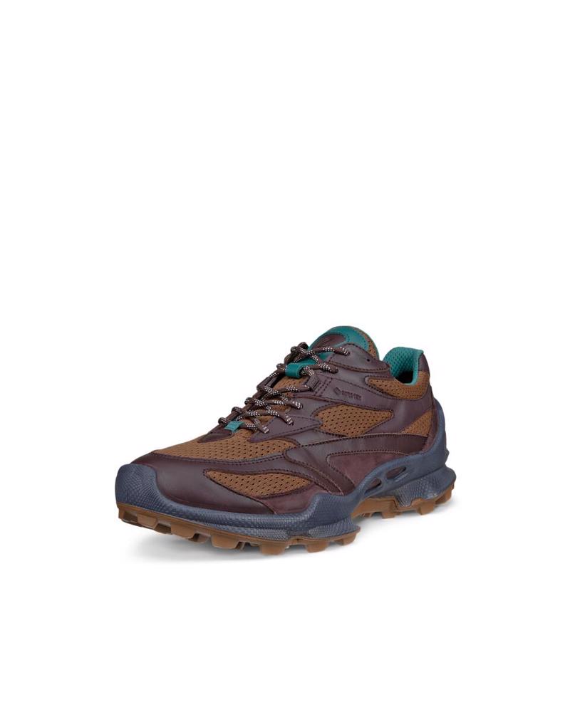 Brown ECCO Biom C-Trail M Garnet