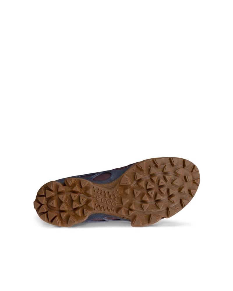 Brown ECCO Biom C-Trail M Garnet