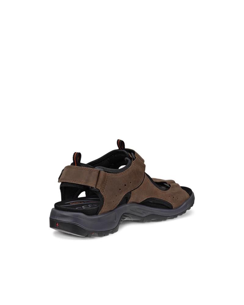 Kahverengi ECCO Offroad