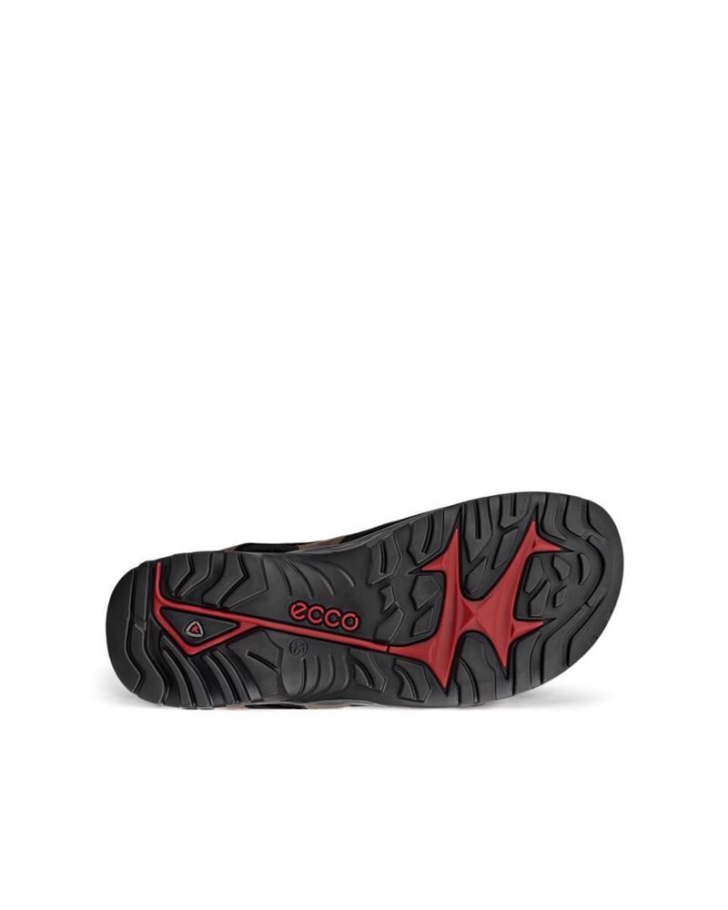 Kahverengi ECCO Offroad