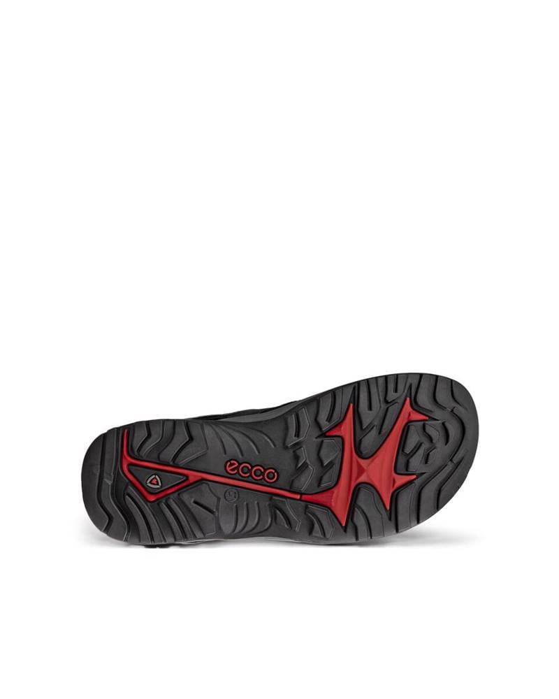 Siyah ECCO Offroad
