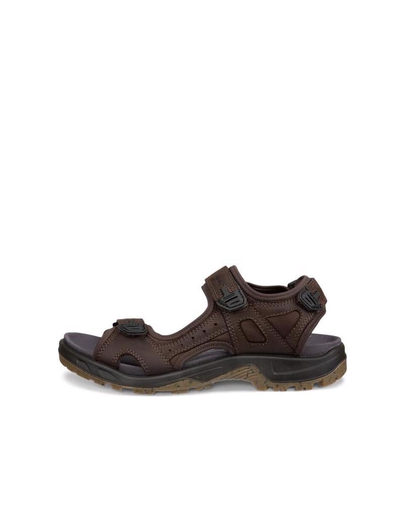 Brown ECCO Offroad Mocha