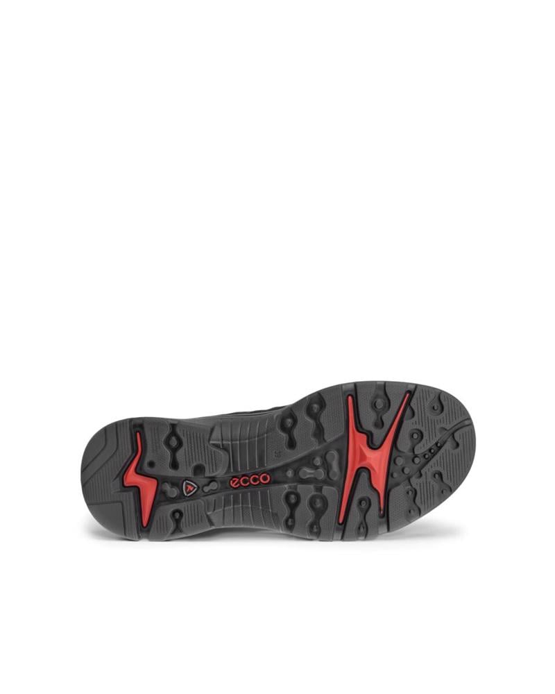Black ECCO Offroad W Black